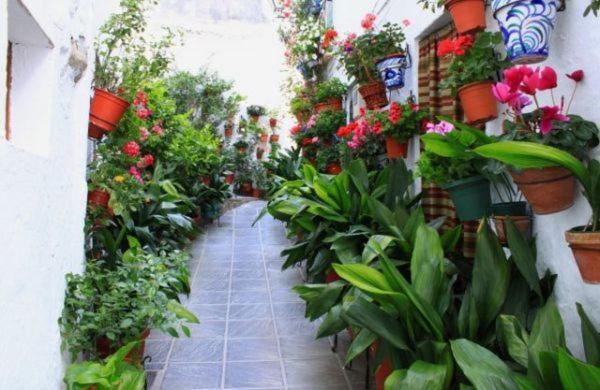 Apartament La Casa De La Plaza Güéjar Sierra Zewnętrze zdjęcie